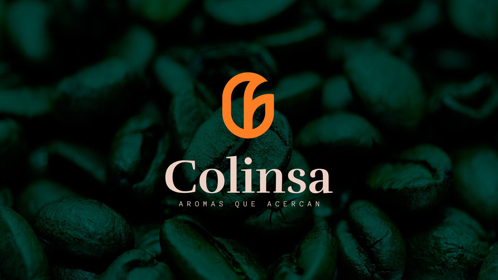 Descripción de la imagen 1